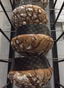 Panettone appena sfornato